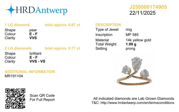Lab Grown - Diamanten ring - 17.5 mm