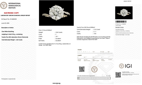 Lab Grown - Diamanten ring - 17 mm